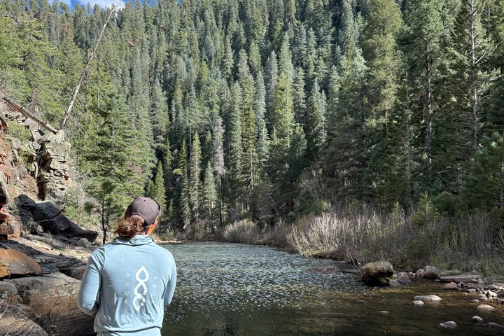 3-Day Backpacking Trek on the Mogollon Rim - Beginners Welcome! - Photo 1 of 25